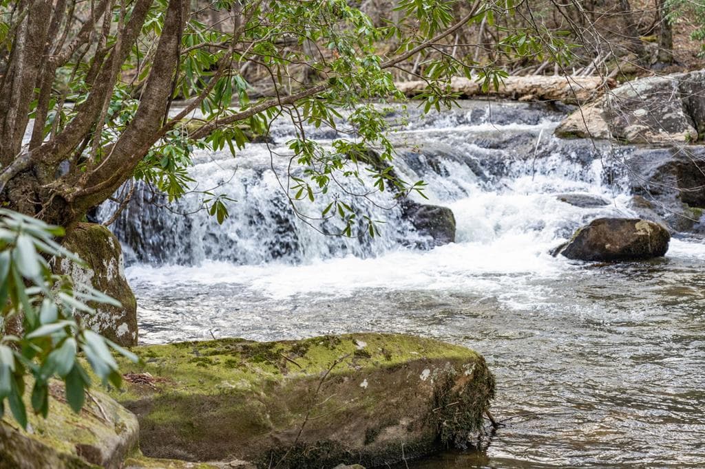 164 Water Dance Trail, Blue Ridge GA 30513 - Photo