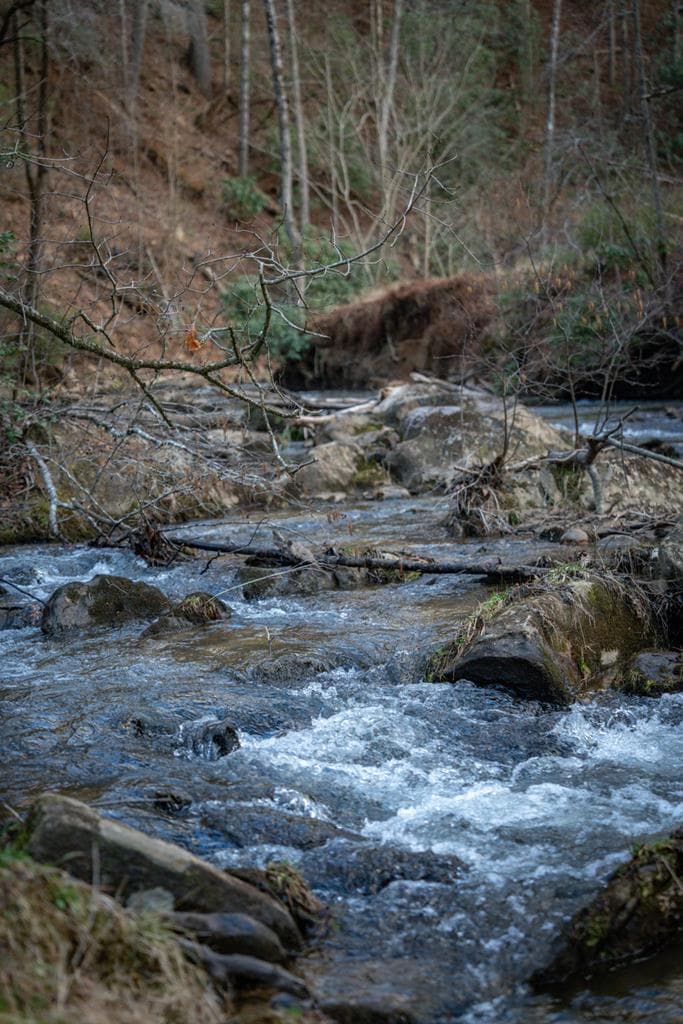 164 Water Dance Trail, Blue Ridge GA 30513 - Photo