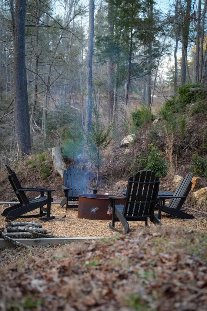 164 Water Dance Trail, Blue Ridge GA 30513 - Photo