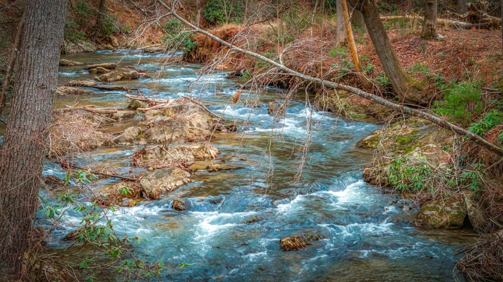 164 Water Dance Trail, Blue Ridge GA 30513 - Photo