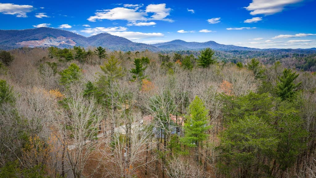 0 Seneca Drive, Ellijay GA 30540 - Photo