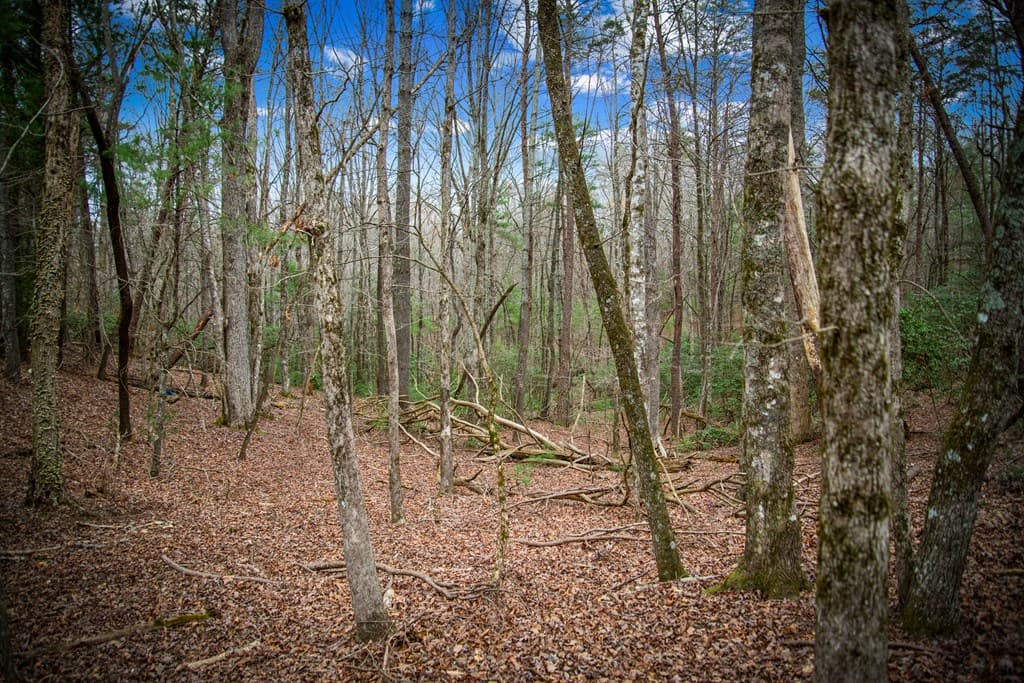 0 Seneca Drive, Ellijay GA 30540 - Photo