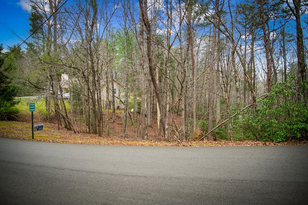 0 Seneca Drive, Ellijay GA 30540 - Photo