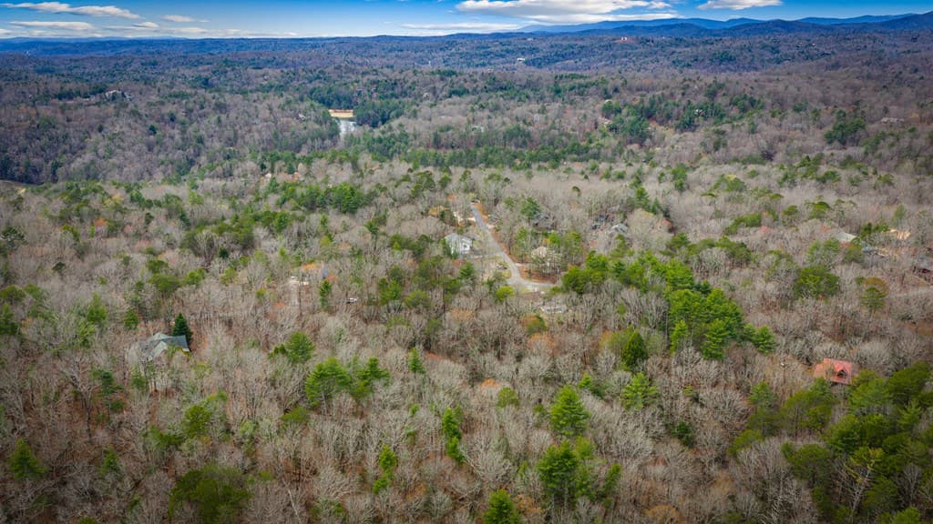 0 Seneca Drive, Ellijay GA 30540 - Photo
