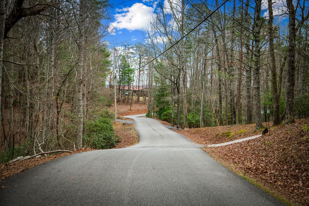 0 Seneca Drive, Ellijay GA 30540 - Photo