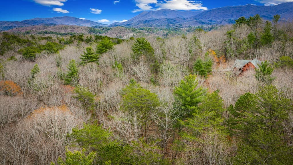 0 Seneca Drive, Ellijay GA 30540 - Photo