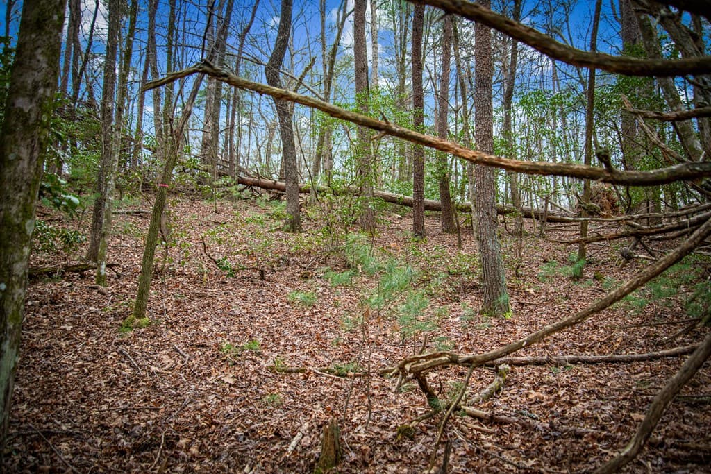 0 Seneca Drive, Ellijay GA 30540 - Photo