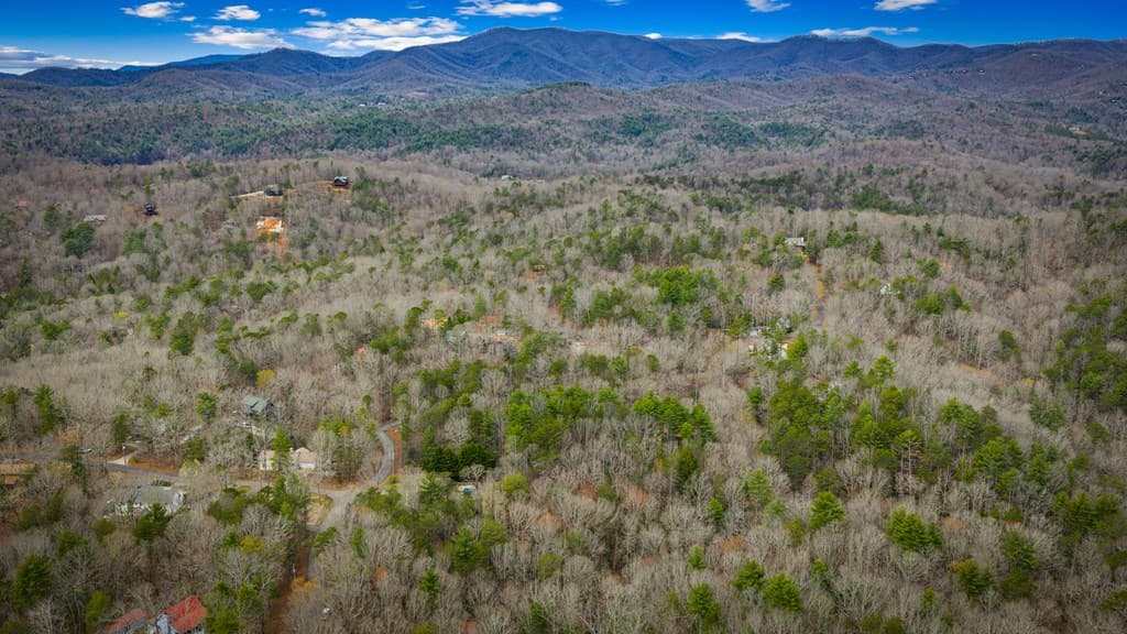 0 Seneca Drive, Ellijay GA 30540 - Photo