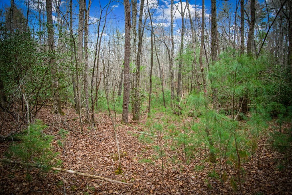 0 Seneca Drive, Ellijay GA 30540 - Photo