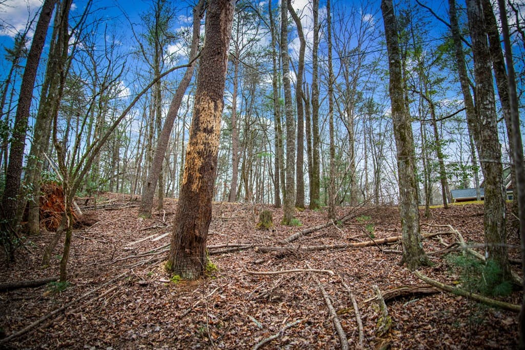 0 Seneca Drive, Ellijay GA 30540 - Photo