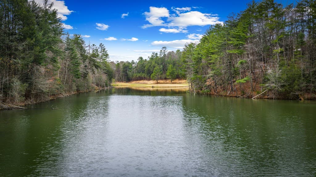 0 Seneca Drive, Ellijay GA 30540 - Photo
