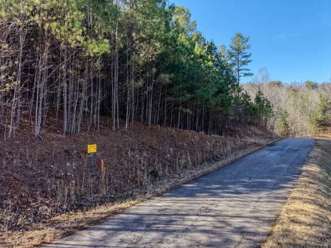Lot 28 The Hills At Queens Gap, Blairsville GA 30512 - Photo