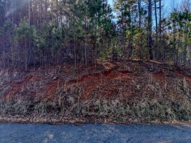 Lot 28 The Hills At Queens Gap, Blairsville GA 30512 - Photo