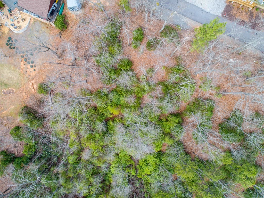 Lot 33 Laurel Brooke S/D, Blairsville GA 30512 - Photo