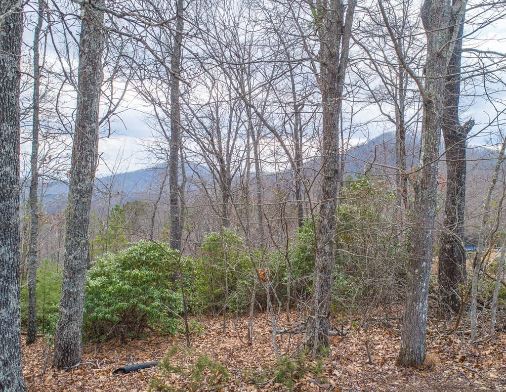 Lot 33 Laurel Brooke S/D, Blairsville GA 30512 - Photo