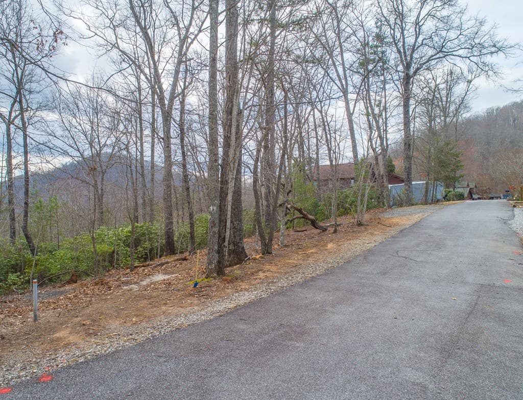 Lot 33 Laurel Brooke S/D, Blairsville GA 30512 - Photo