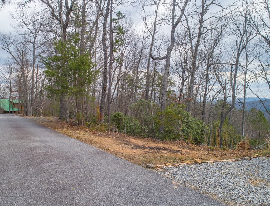 Lot 33 Laurel Brooke S/D, Blairsville GA 30512 - Photo