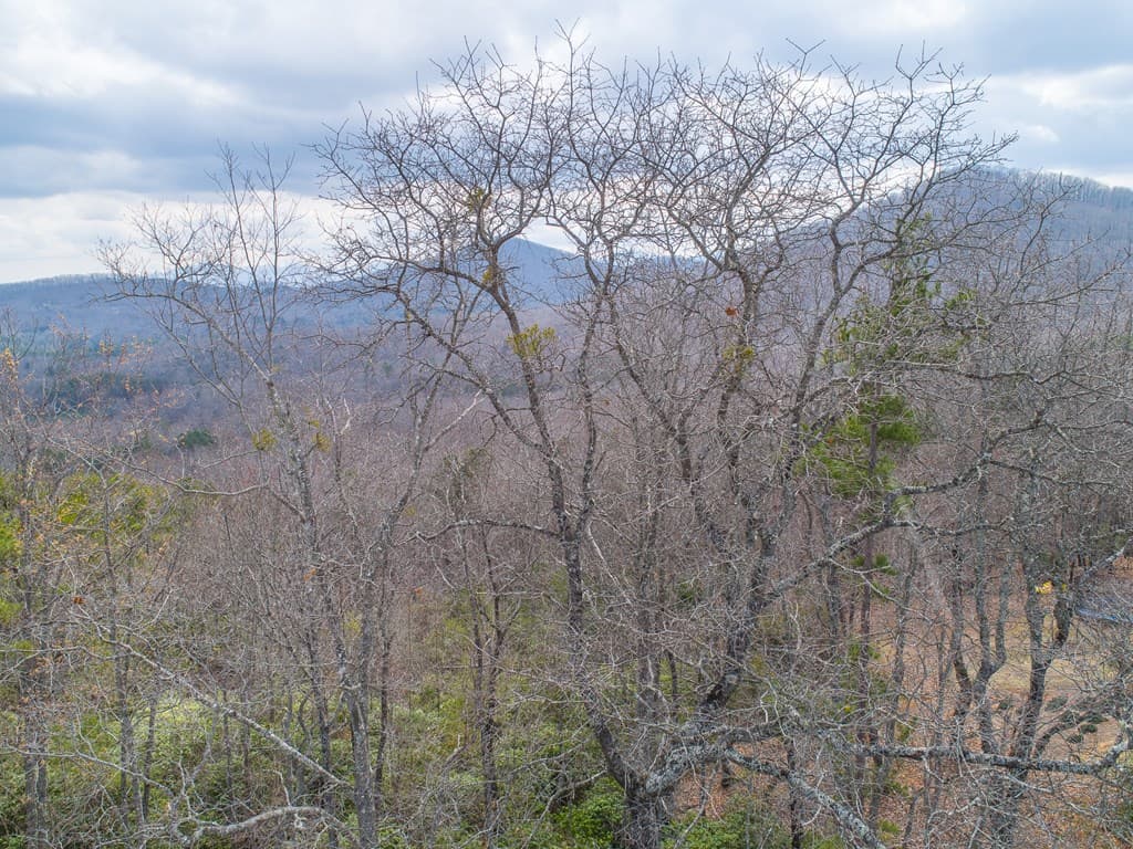 Lot 33 Laurel Brooke S/D, Blairsville GA 30512 - Photo