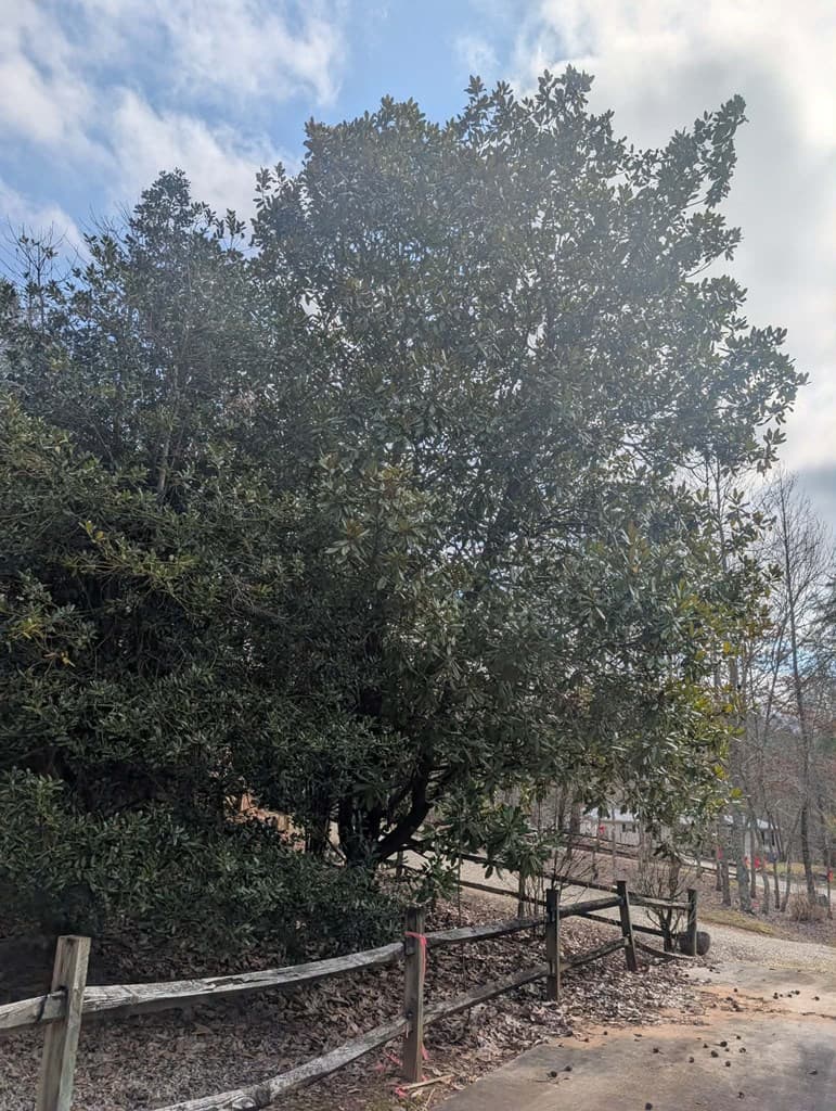 53 Stonebrook Lane, Blairsville GA 30512 - Photo