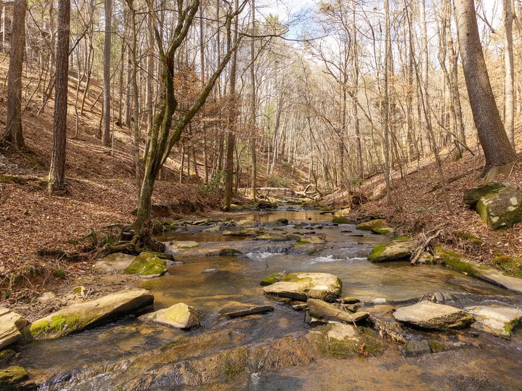130 Clark Drive, Ellijay GA 30540 - Photo