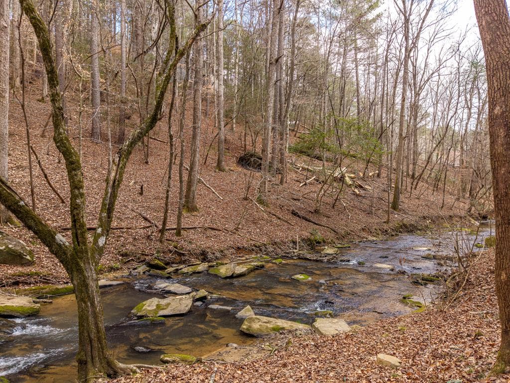 130 Clark Drive, Ellijay GA 30540 - Photo