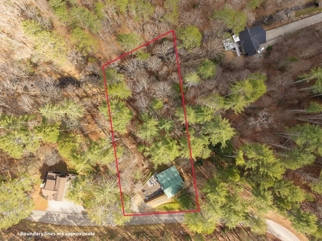 130 Clark Drive, Ellijay GA 30540 - Photo