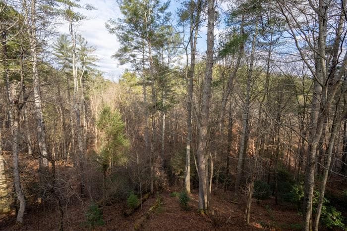 130 Clark Drive, Ellijay GA 30540 - Photo