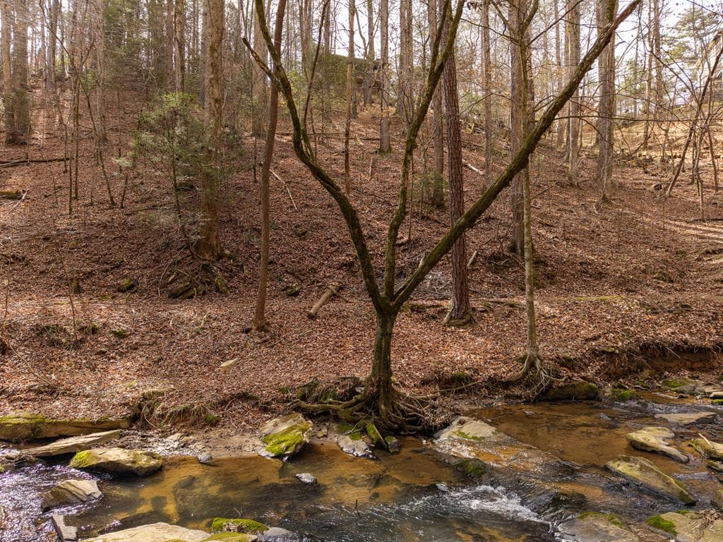 130 Clark Drive, Ellijay GA 30540 - Photo
