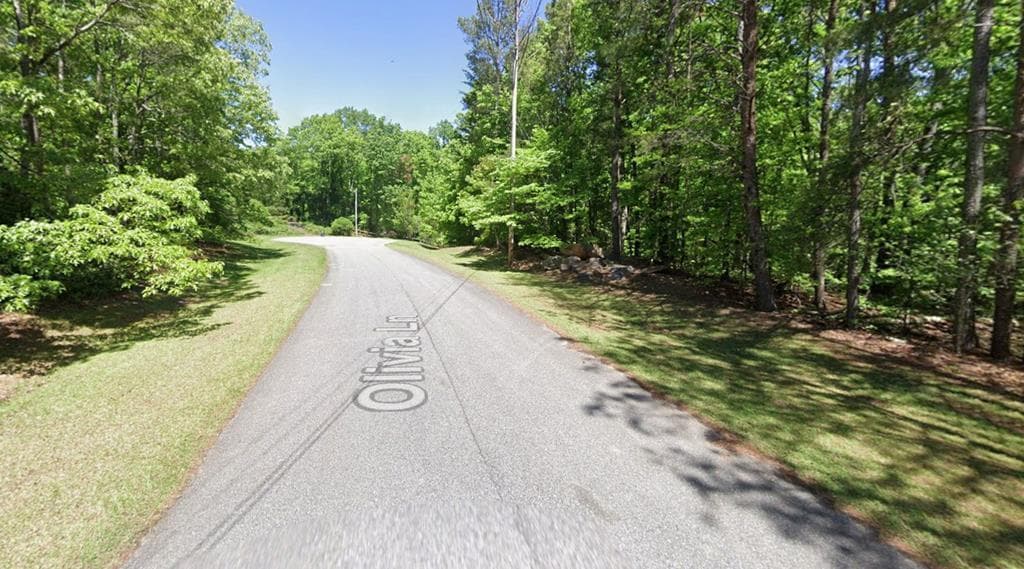 Lot 10 Olivia Lane, Ball Ground GA 30107 - Photo