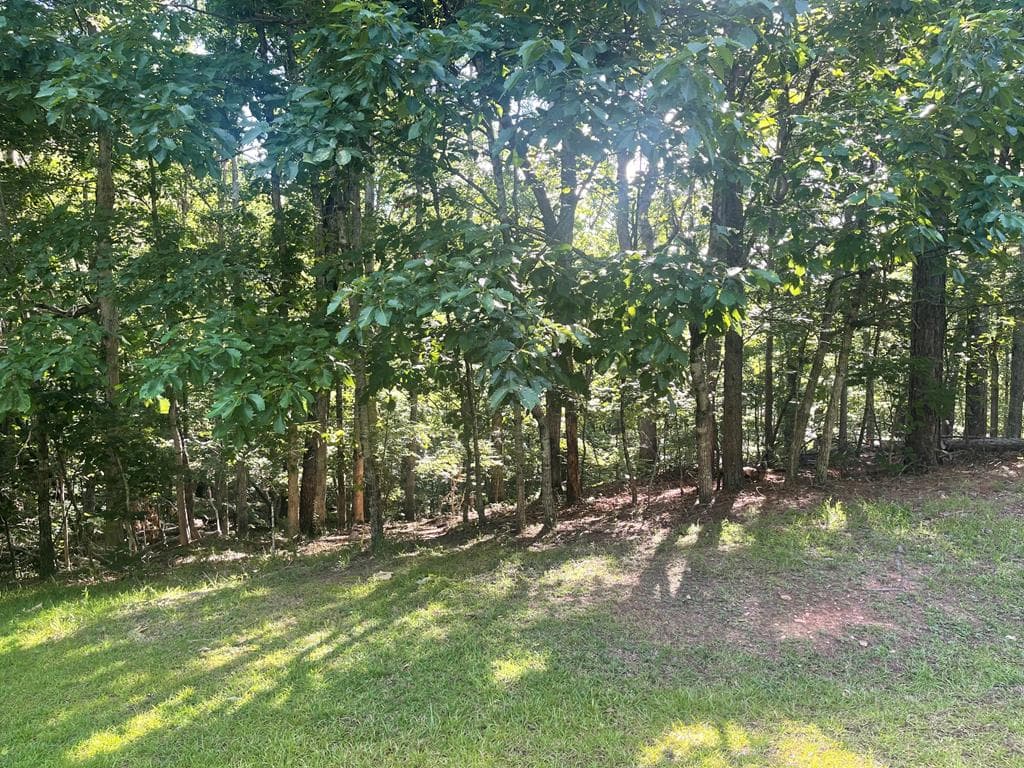 Lot 10 Olivia Lane, Ball Ground GA 30107 - Photo