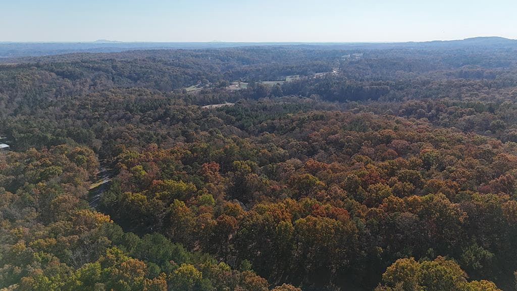 Lot 10 Olivia Lane, Ball Ground GA 30107 - Photo