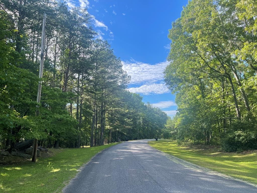 Lot 10 Olivia Lane, Ball Ground GA 30107 - Photo