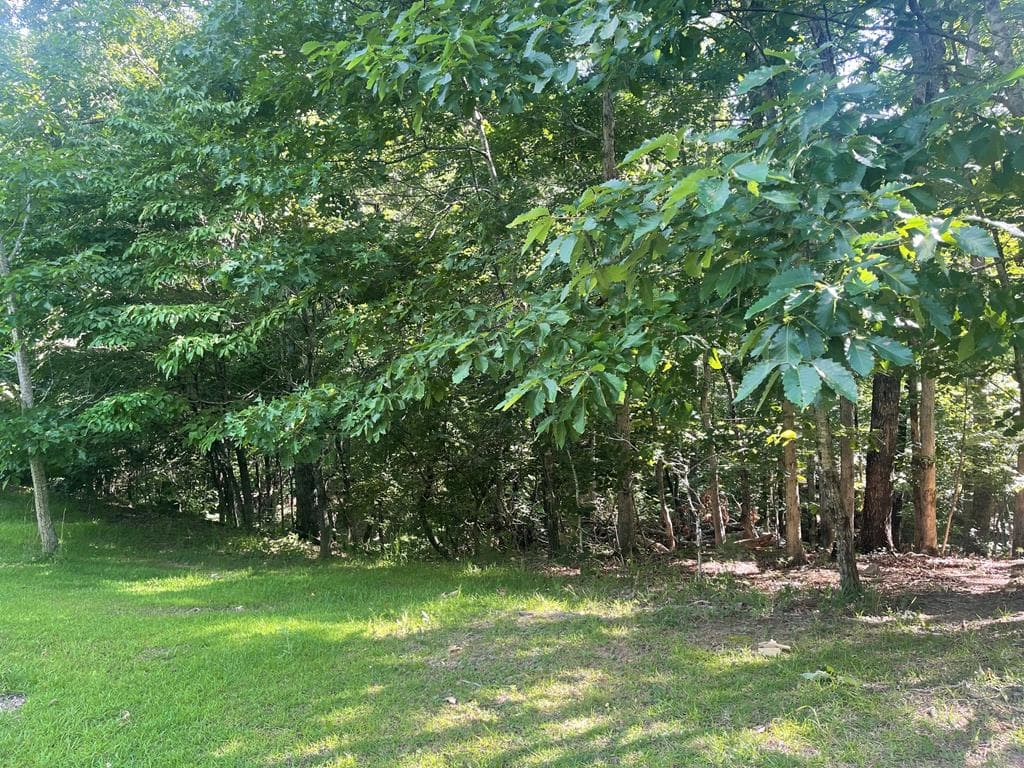 Lot 10 Olivia Lane, Ball Ground GA 30107 - Photo