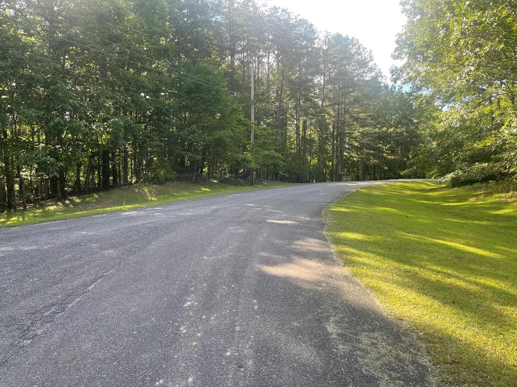 Lot 10 Olivia Lane, Ball Ground GA 30107 - Photo