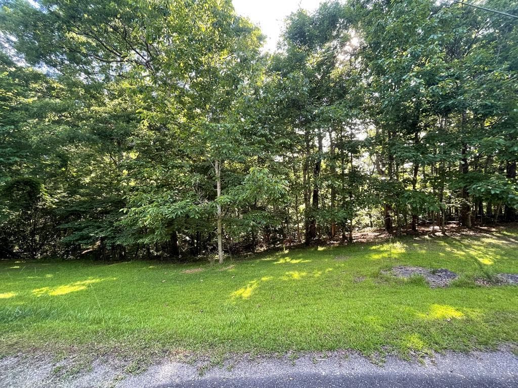 Lot 10 Olivia Lane, Ball Ground GA 30107 - Primary photo