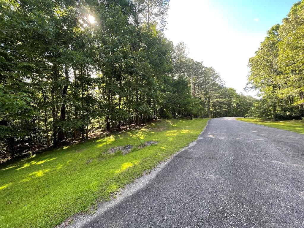 Lot 10 Olivia Lane, Ball Ground GA 30107 - Photo