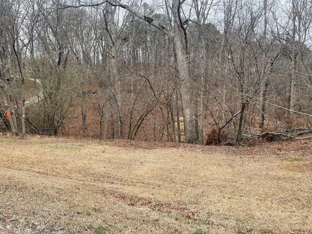 Lot 10 Olivia Lane, Ball Ground GA 30107 - Photo