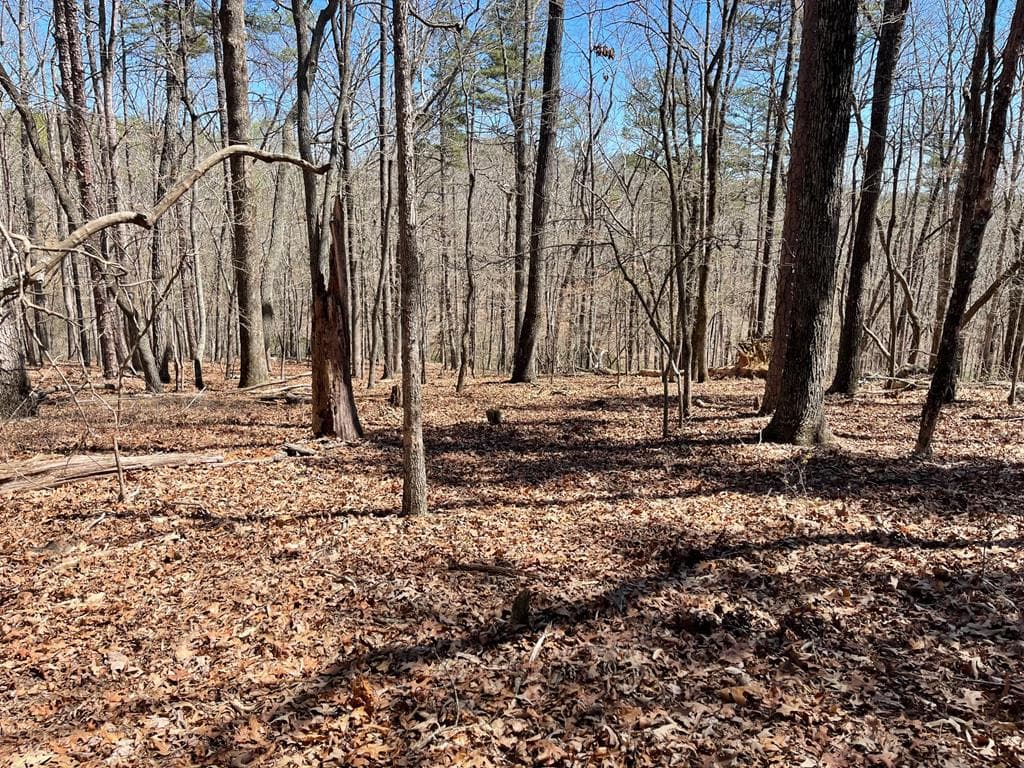 Lot 10 Olivia Lane, Ball Ground GA 30107 - Photo