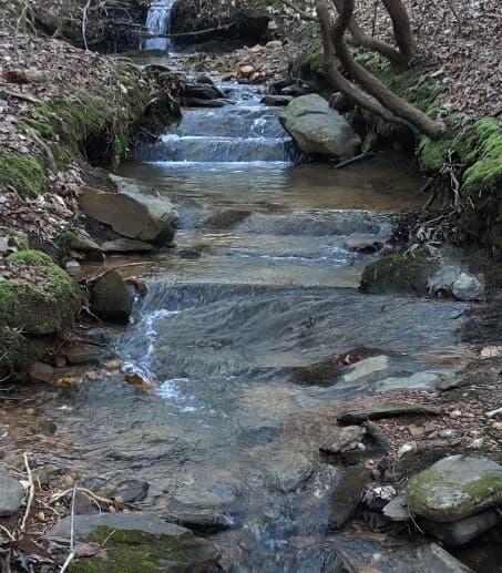 Lot 10 Olivia Lane, Ball Ground GA 30107 - Photo