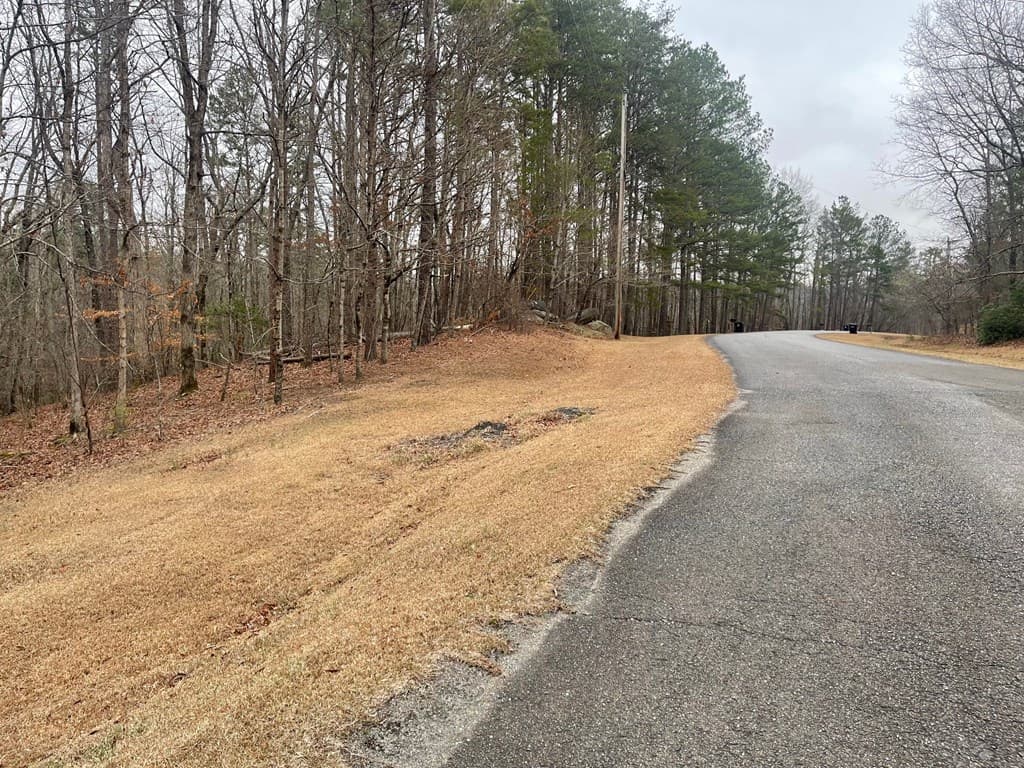 Lot 10 Olivia Lane, Ball Ground GA 30107 - Photo