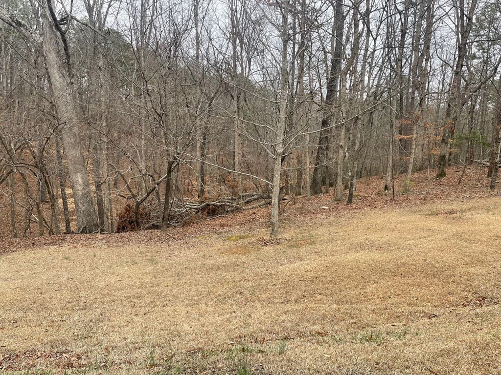Lot 10 Olivia Lane, Ball Ground GA 30107 - Photo