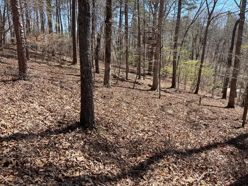 Lot 10 Olivia Lane, Ball Ground GA 30107 - Photo