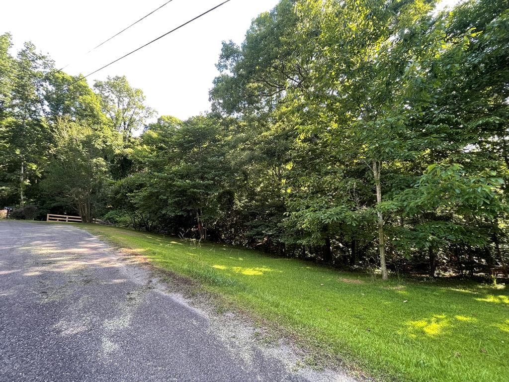 Lot 10 Olivia Lane, Ball Ground GA 30107 - Photo