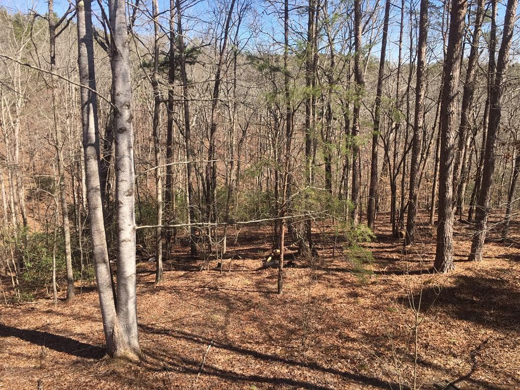 Lot 10 Olivia Lane, Ball Ground GA 30107 - Photo
