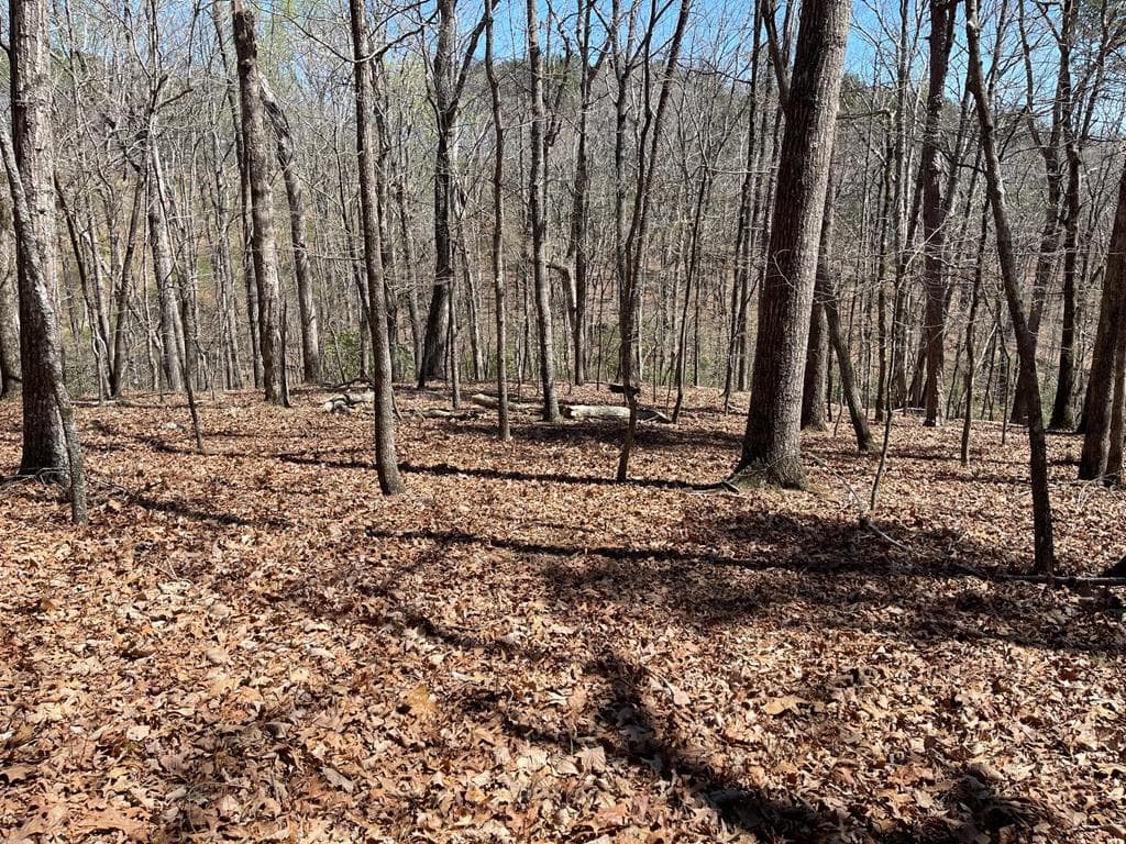 Lot 10 Olivia Lane, Ball Ground GA 30107 - Photo