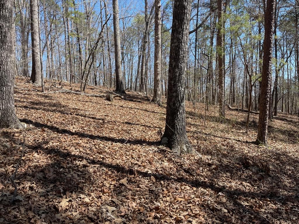 Lot 10 Olivia Lane, Ball Ground GA 30107 - Photo