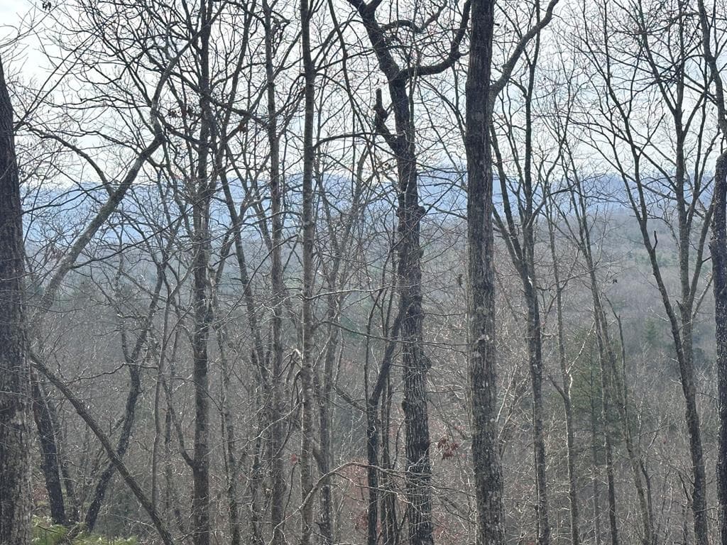39 Moon Howler Drive, Murphy MD 20906 - Photo
