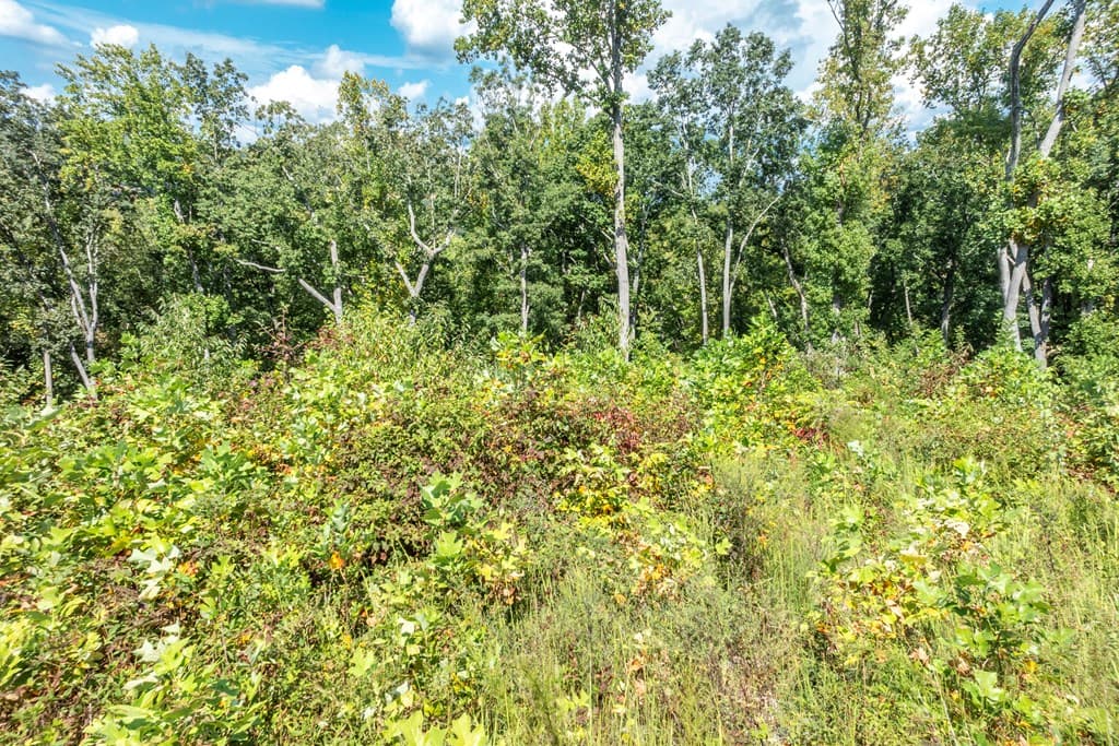0 Highgrove Drive, Talking Rock GA 30175 - Photo