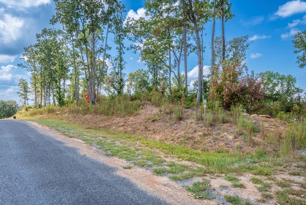 0 Highgrove Drive, Talking Rock GA 30175 - Photo