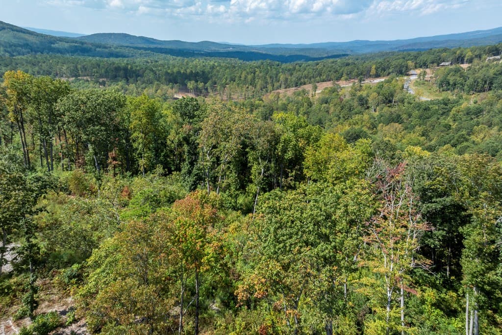 0 Highgrove Drive, Talking Rock GA 30175 - Photo